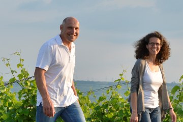 Weingut D&auml;twyl_Weinberg, &copy; Weingut D&auml;twyl