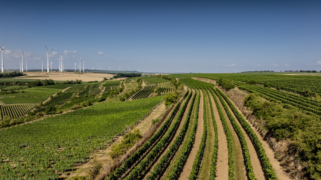 Alsheimer R&ouml;merberg, &copy; Torsten Silz
