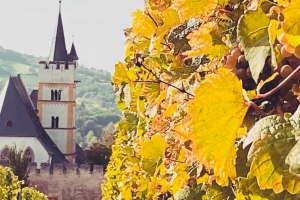 Genuss-KulTour Ober-Ingelheim, © Nadja Glässel-Roucka