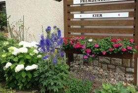 Pension- Obsthof - Trapp