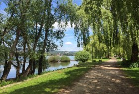 Rheinauen in Ingelheim &copy; Petra Julius/Stadt Ingelheim