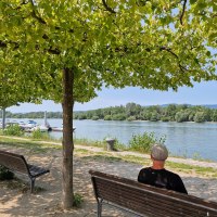 Rheinufer Heidenfahrt - Blick Hafen & Inselrhein &copy; Rheinhessen-Touristik GmbH