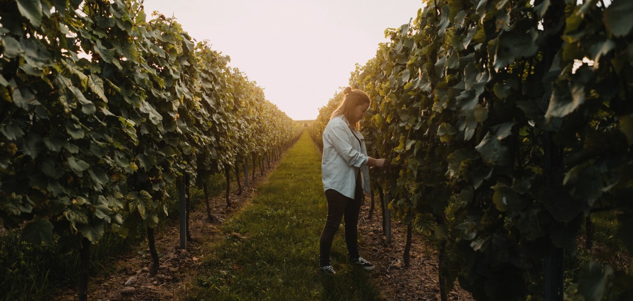 &copy; Weingut Krughof