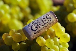 Weingut Gres_Kork, &copy; Volker Oehl