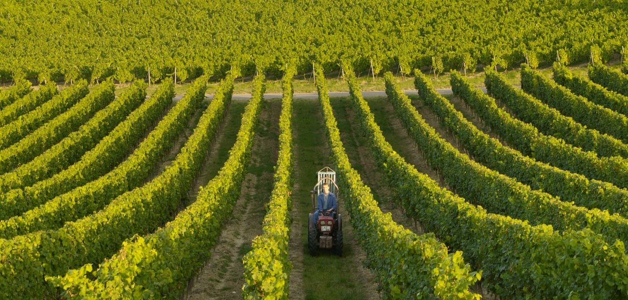 Weingut_Baumann_201_160907, &copy; Weingut Baumann