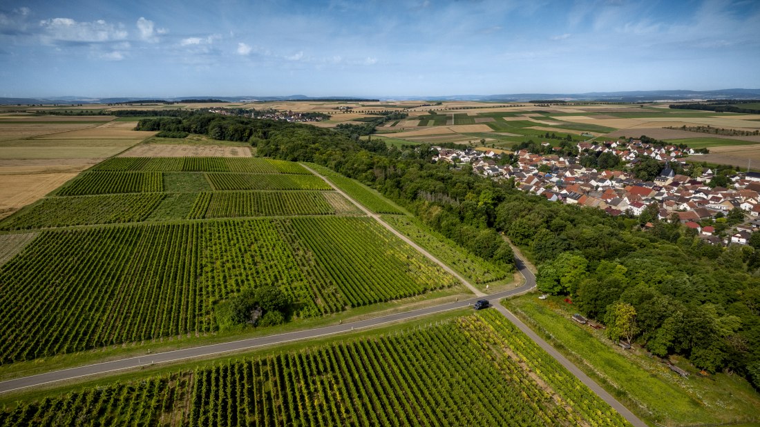 Nieder-Hilbersheimer Steinacker, &copy; Torsten Silz