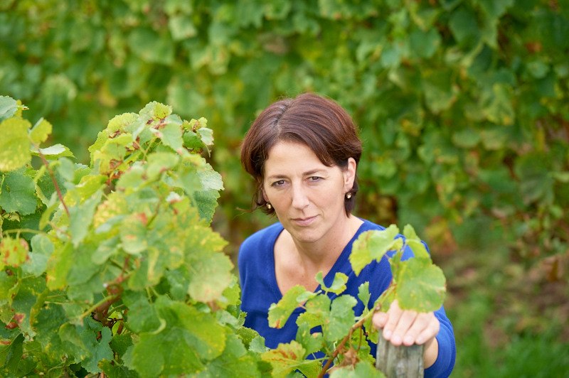 20131021_d4_4802_preview, &copy; Weingut Schoeneck-Schnell