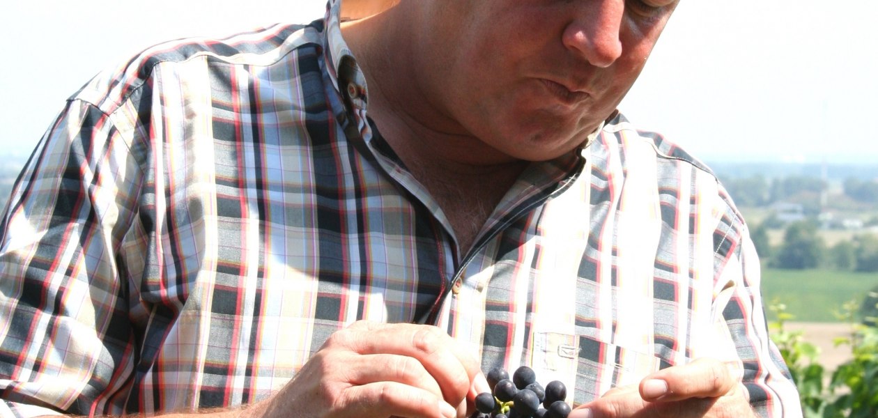 &copy; Weingut Eckehart Gr&ouml;hl