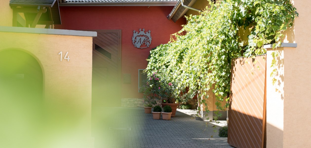 winery-antweiler5, &copy; Weingut Antweiler