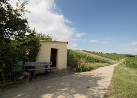 Wingertsh&auml;uschen Am Hohberg &copy; Dominik Ketz