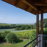 Aussicht von Turm © Verbandsgemeinde Gau-Algesheim