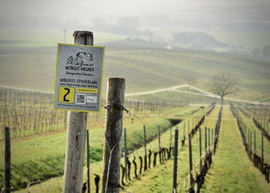 &copy; Weingut Wagner