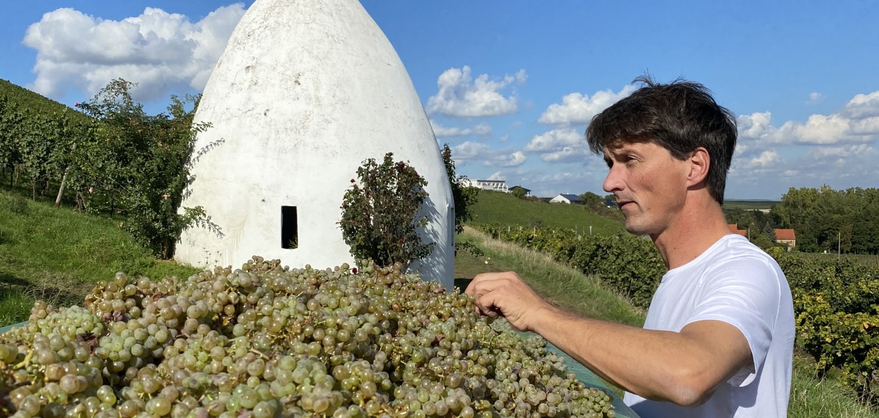 &copy; Weingut B&auml;der