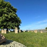 J&uuml;discher Friedhof 5 &copy; TI Alzey