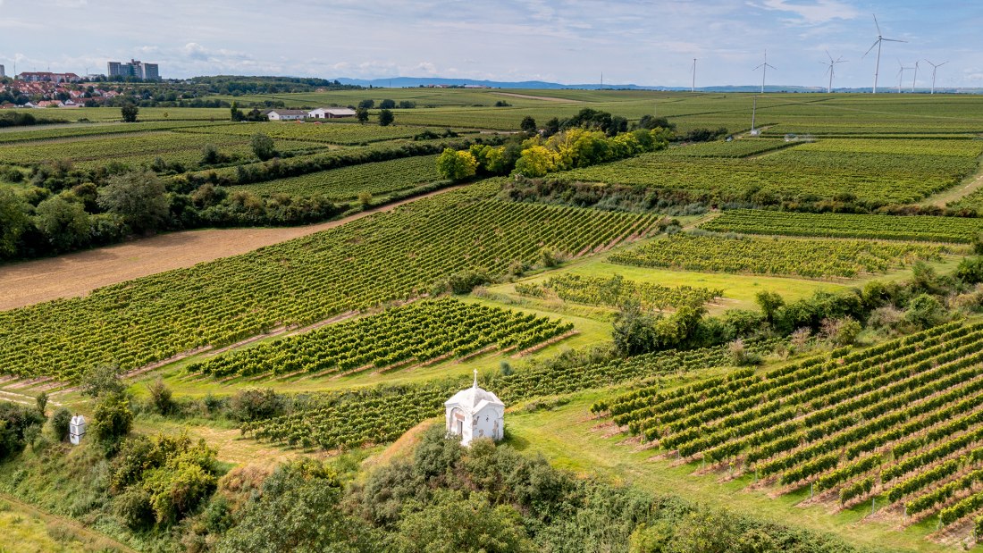 Herrnsheimer Schloß