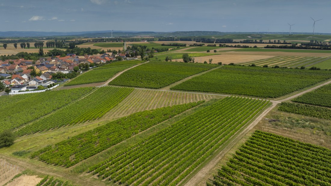 Eckelsheimer Eseltreiber, &copy; Torsten Silz