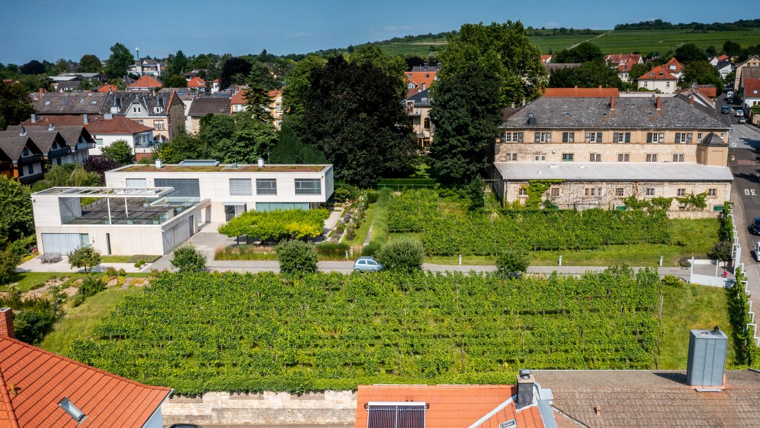 Ingelheimer Sonnenberg-DJI_0042.DNG, &copy; Torsten Silz