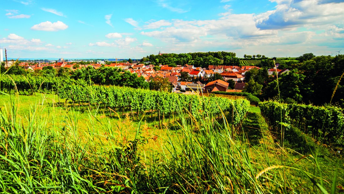 &copy; Weingut Steinm&uuml;hle