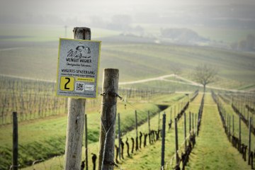 Weingut Wagner_Weinberg, &copy; Weingut Wagner