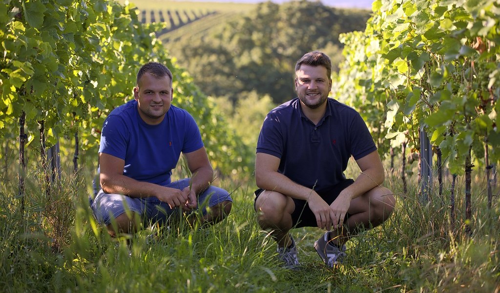 o51a0942_1d, &copy; Weingut Baum-Barth