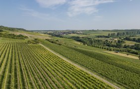 Entgegengesetzter Rehingaublick &copy; Verbandsgemeinde Gau-Algesheim