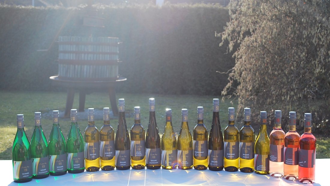 28164699_927383347430570_8890786329750878347_o, &copy; Weingut Siebenhof