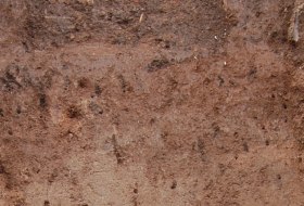 L&ouml;ss Tschernosem &copy; Landesamt f&uuml;r Geologie und Bergbau Rheinland-Pfalz