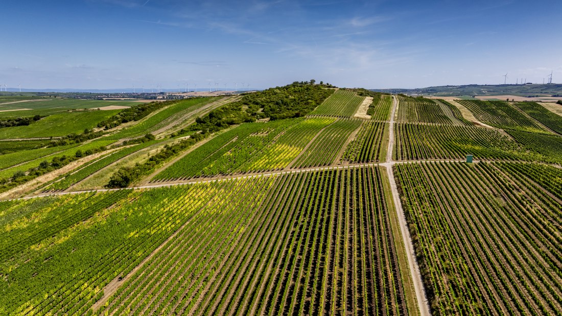 Bechtolsheimer Klosterberg, © Torsten Silz