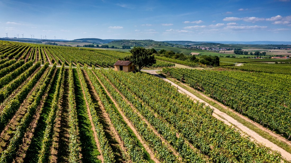 Eckelsheimer Kirchberg