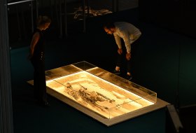 Grab 447 © Kristina Schaefer/IKuM GmbH