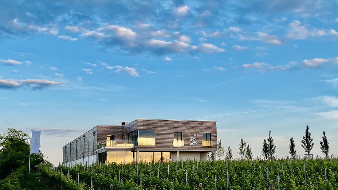 &copy; Weingut Th&ouml;rle