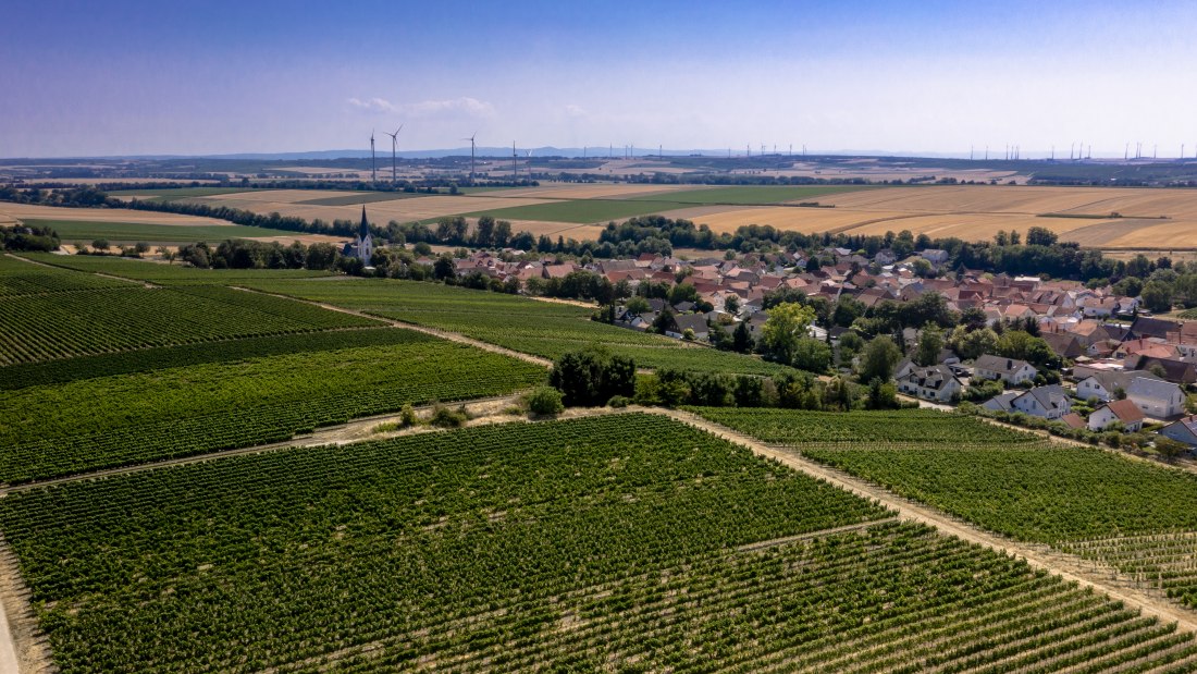 Gabsheimer Rosengarten