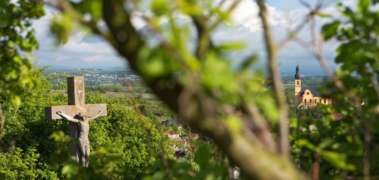 Weingut Schmitz_Ausblick, &copy; Weingut Schmitz