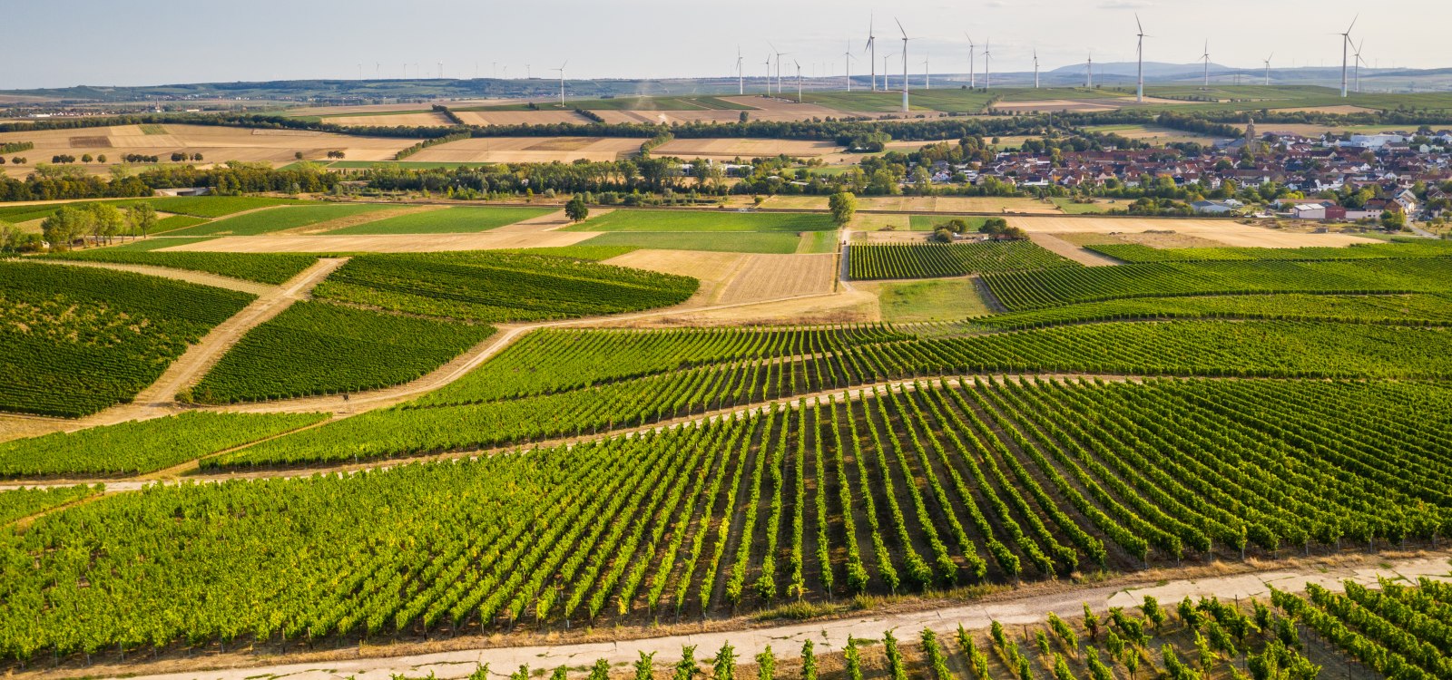 Rheinhessen-2020-519, &copy; Dominik Ketz