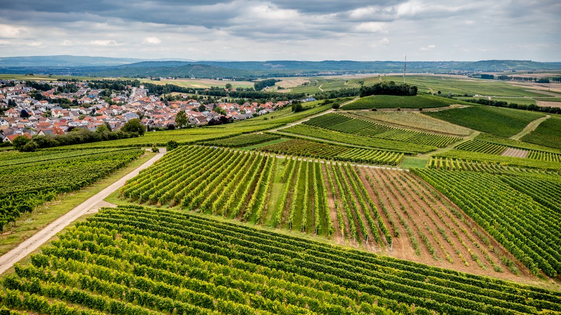 Hackenheimer Kirchberg