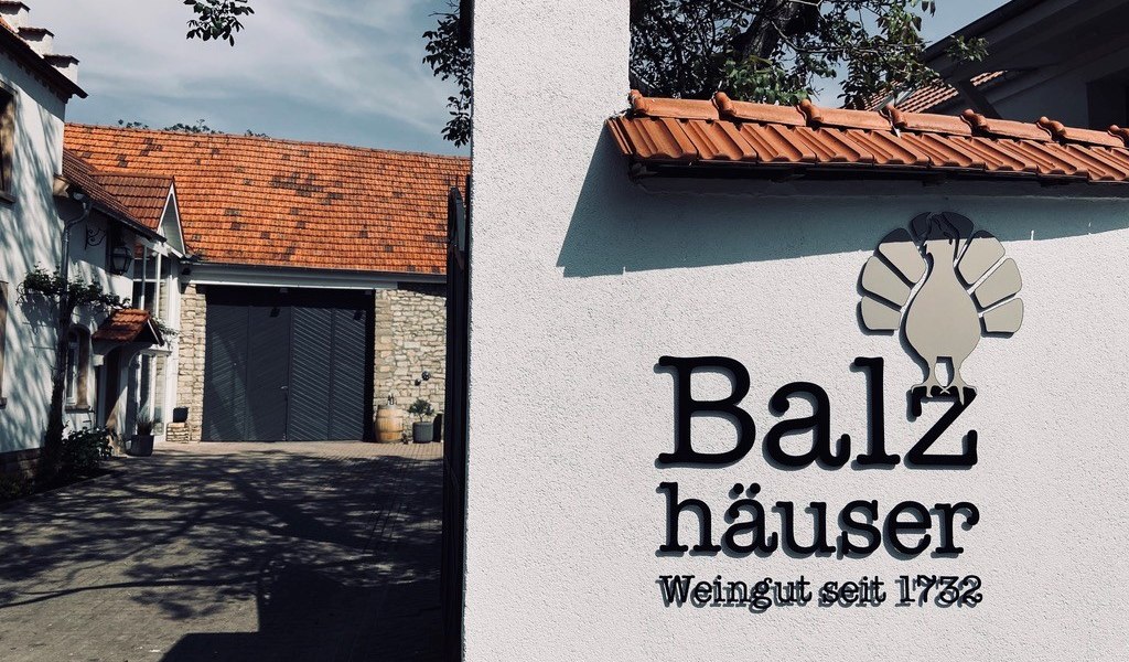 Weingut Balzh&auml;user_Weingut, &copy; Weingut Balzh&auml;user