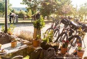 Fietsen met de e-bike rond Ingelheim en in Rheinhessen. De regionale keuken en uitstekende wijnen nodigen u uit voor een lange pauze. © Dominik Ketz / Rheinhessen-Touristik GmbH