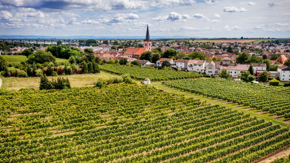 Pfeddersheimer Sankt Georgenberg
