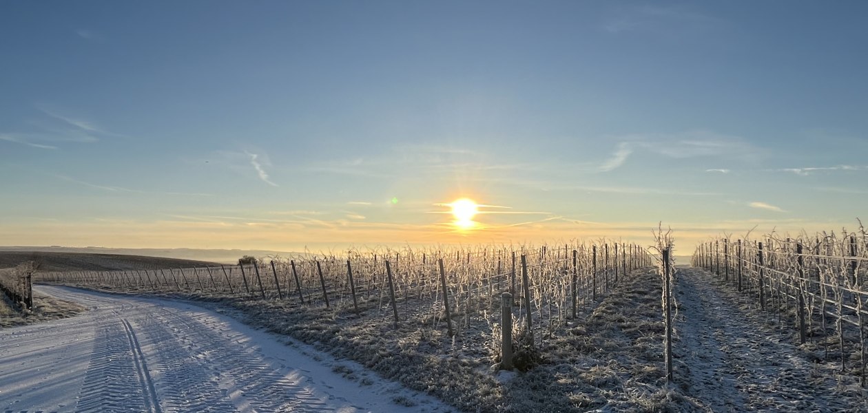 Bio Weingut Hellmich_Schnee, &copy; Bio Weingut Hellmich