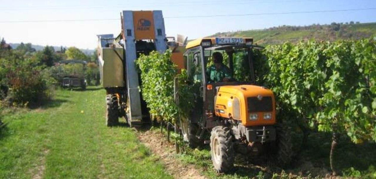 tiny database-07, &copy; Weingut Heise am Kranzberg