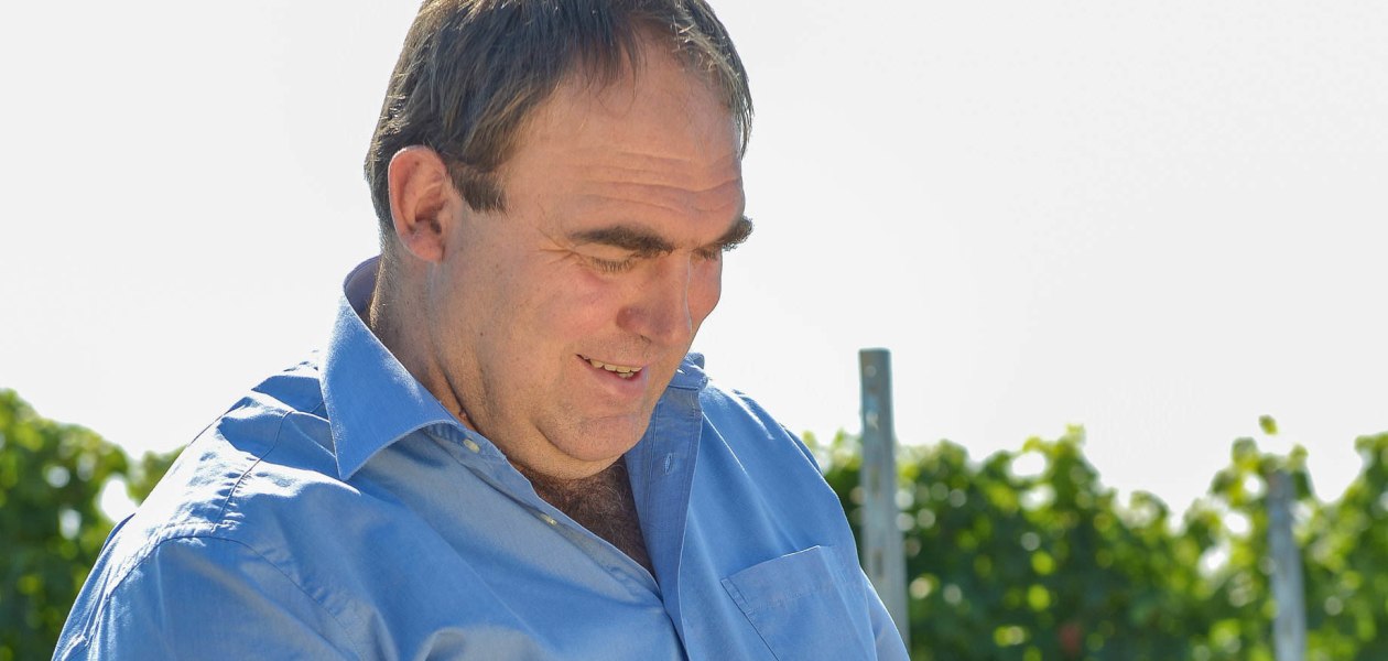 Weingut B&ouml;hm_Stefan B&ouml;hm, &copy; Weingut B&ouml;hm