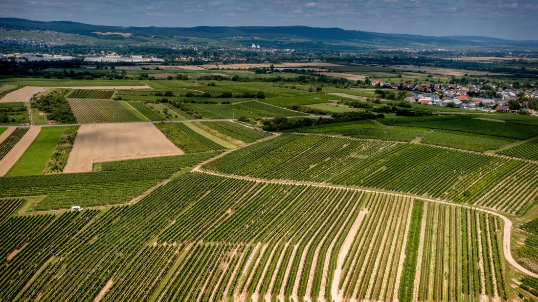 Ockenheimer Hockenmühle