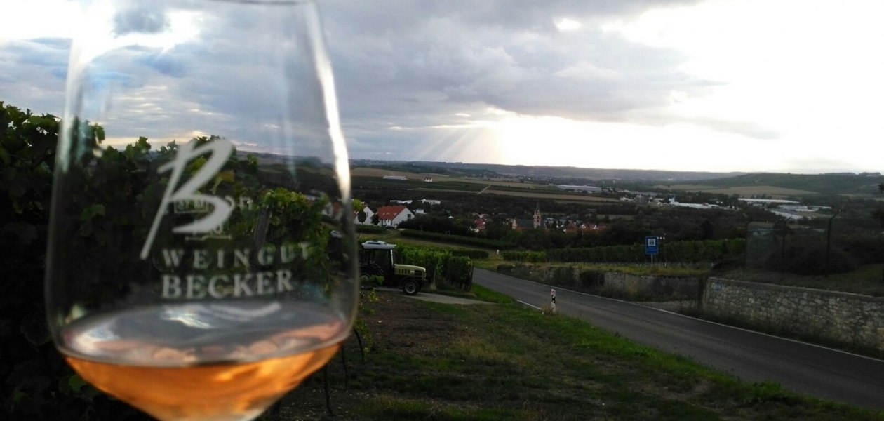 Weingut-Becker_NO_1, &copy; Weingut Becker
