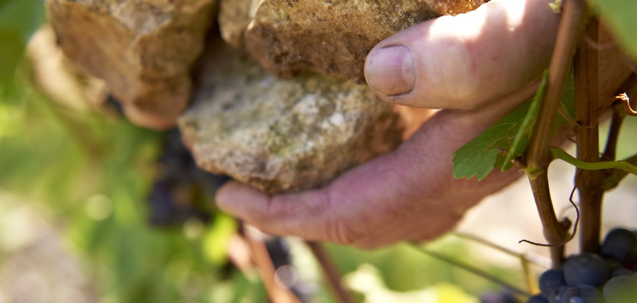 Weingut Michel-Pfannebecker_H&auml;nde, &copy; Weingut Michel-Pfannebecker