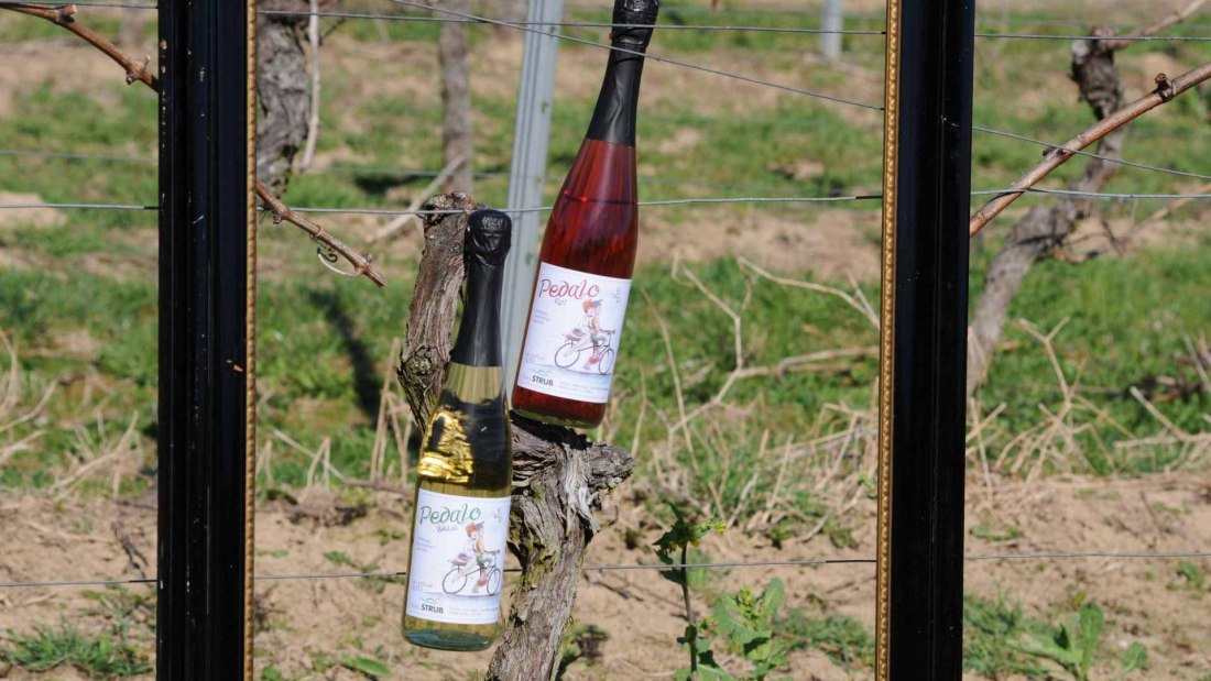 winery_heiko_strub_pedalo, &copy; Weingut Heiko Strub