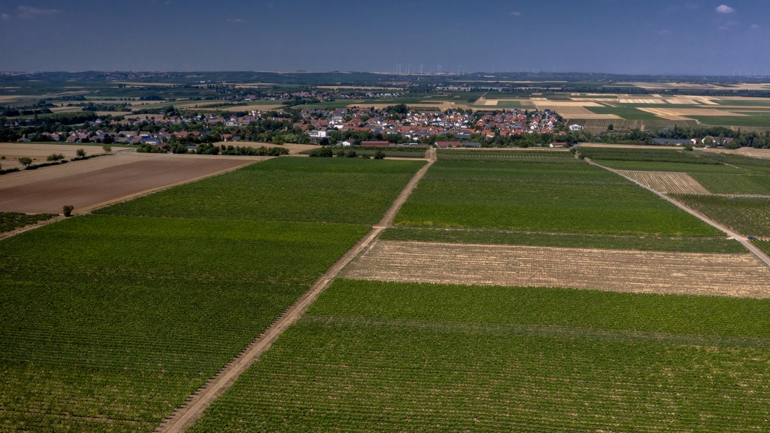 Offsteiner Engelsberg