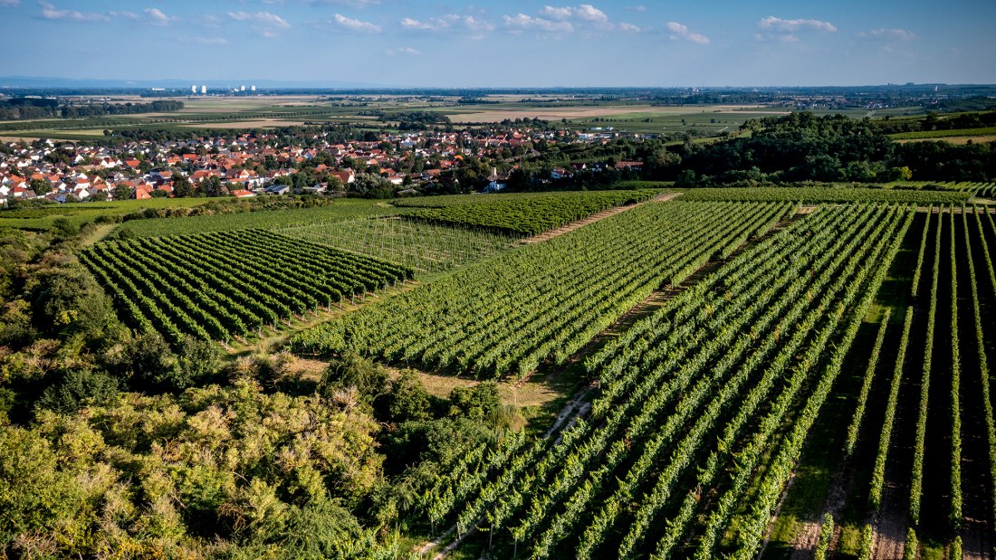 Alsheimer Fr&uuml;hmesse