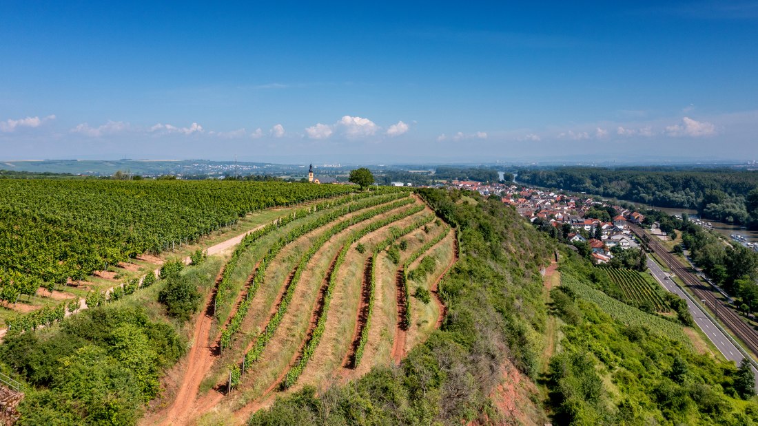 Nackenheimer Rothenberg