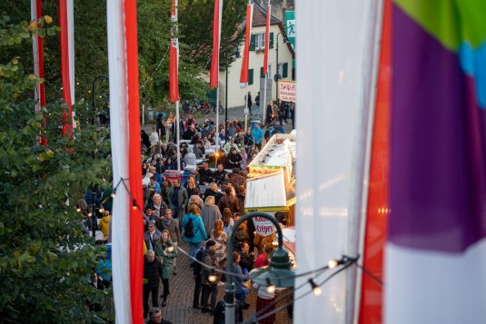Rotweinfest 2024 Flaggen Blick Wehrmauer, © Stadt Ingelheim_Singer-Fischer