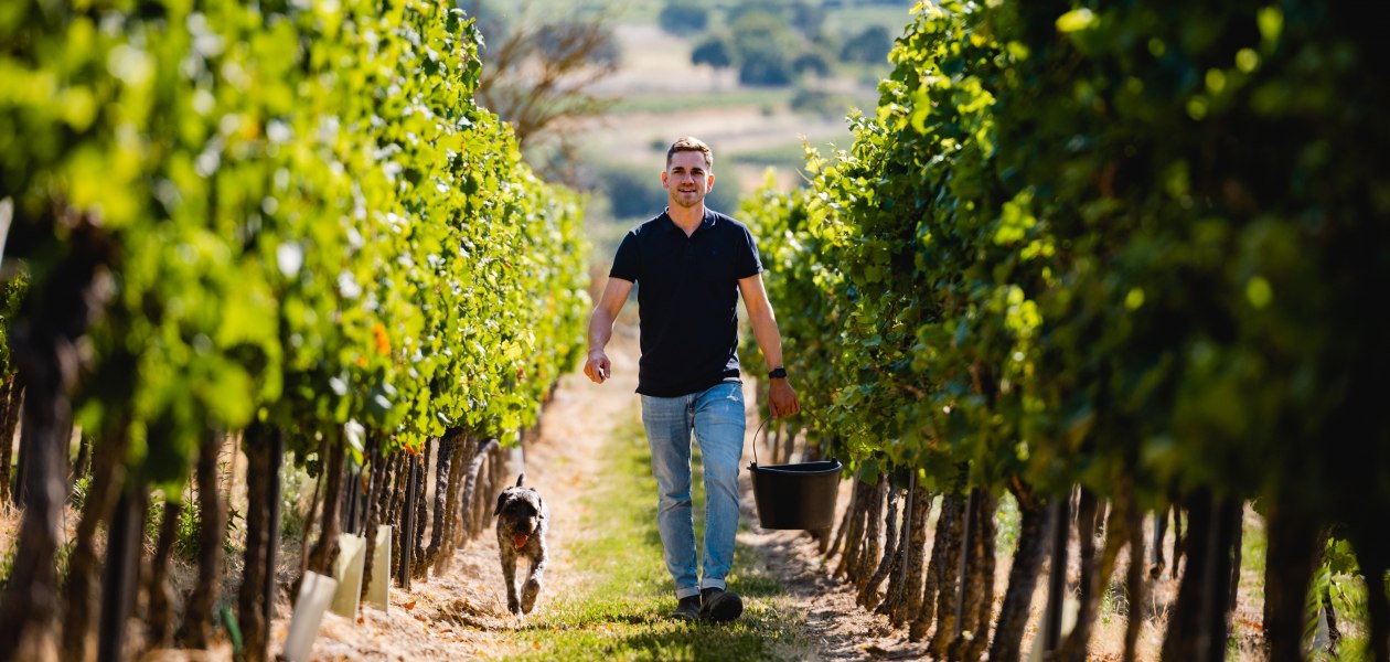 Weingut Balzh&auml;user_Winzer, &copy; Weingut Balzh&auml;user